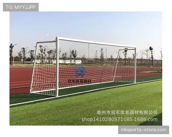 球门尺寸标准：宽度7.32米、高度2.44米的规则依据与应用场景