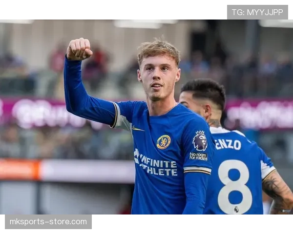 帕尔默弱队数据是否被环境因素放大