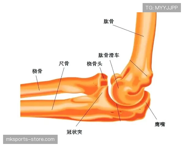 篮球持球规则解析：关键动作界定