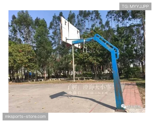 身体接触容忍度的范围与判定,篮球场上如何正确解读新规 身体接触容忍度的范围与判定,篮球场上如何正确解读新规